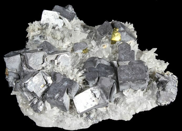 Galena on Quartz With Pyrite - Bulgaria #38990